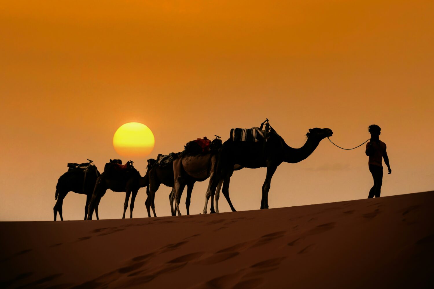 3 days tour from marrakech to fes