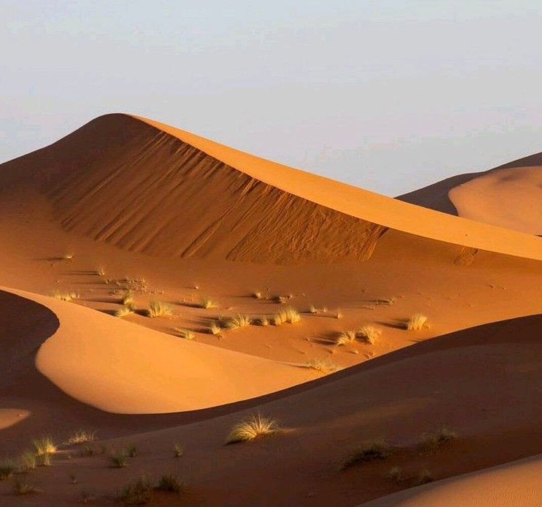merzouga