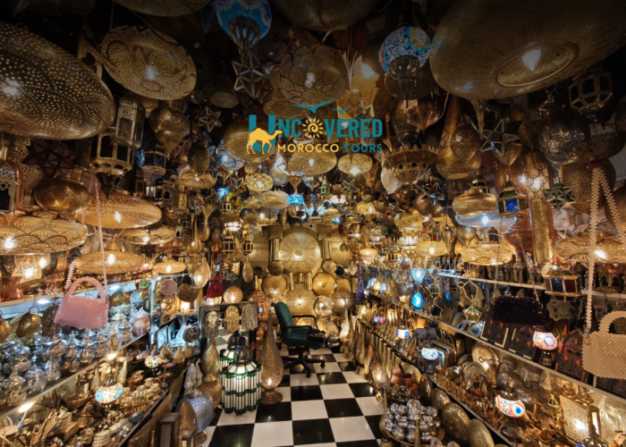 8 days tour from desert tours