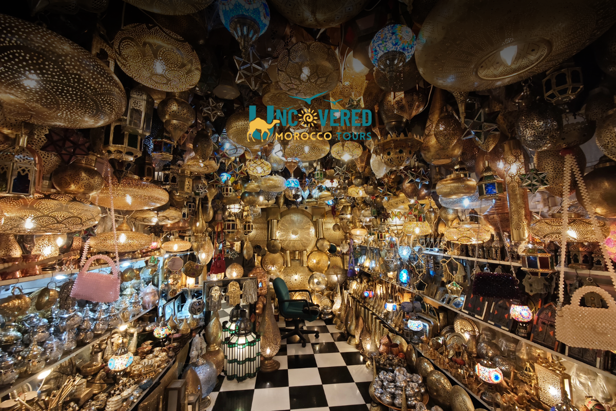 8 days tour from desert tours