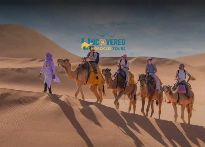 6 days from marrakech desert tours